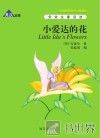小爱达的花 封面