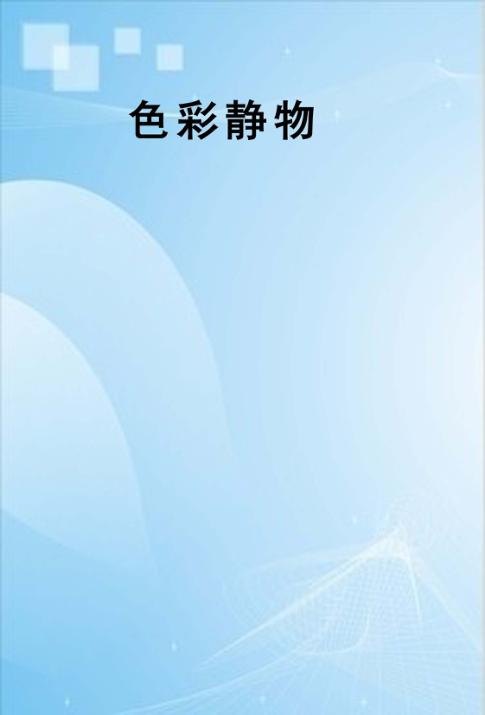 色彩静物 封面