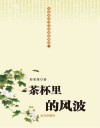 茶杯里的风波 封面