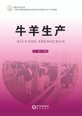 牛羊生产