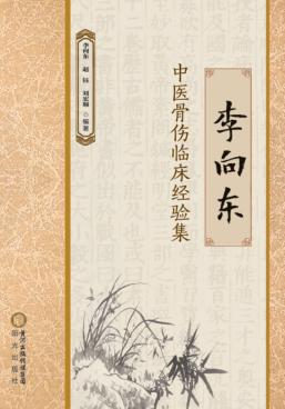 李向东中医骨伤临床经验集 封面