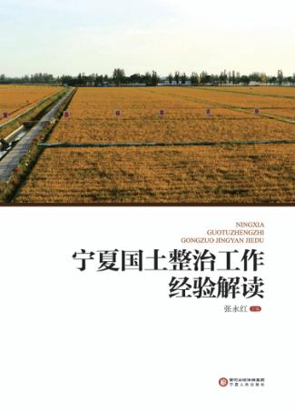 宁夏国土整治工作经验解读 封面