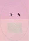 风力 封面