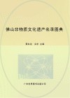 佛山非物质文化遗产名录图典 封面