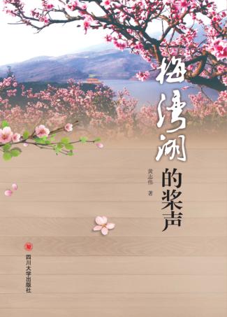 梅湾湖的桨声 封面