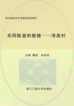 共同致富的楷模-湾底村 封面