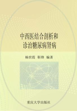 中西医结合剖析和诊治糖尿病肾病 封面