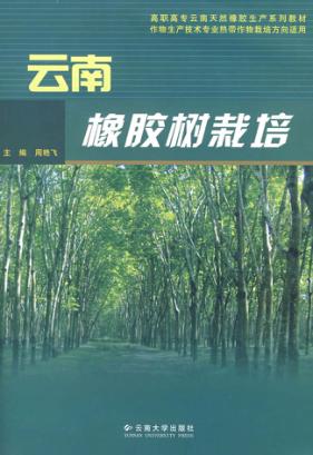 云南橡胶树栽培 封面