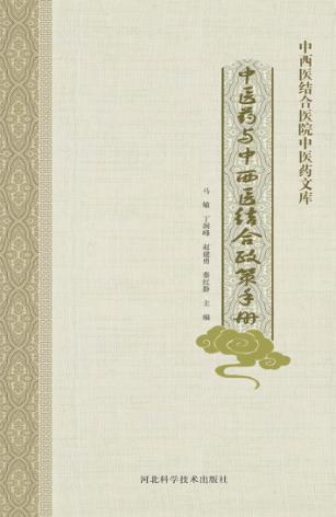 中西医结合医院中医药文库  中医药与中西医结合政策手册 封面