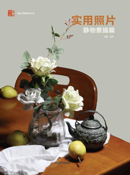 南山问道系列丛书  实用照片  静物素描篇 封面