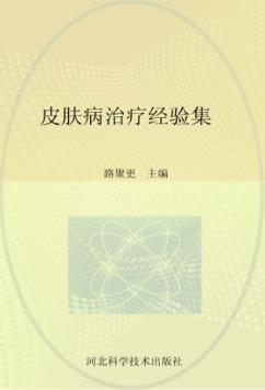 皮肤病治疗经验集 封面