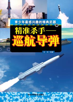 精准杀手 巡航导弹 封面