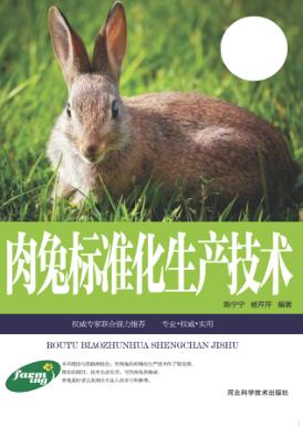 肉兔标准化生产技术 封面