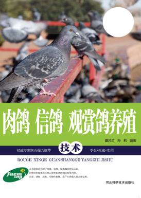 肉鸽  信鸽  观赏鸽养殖技术 封面