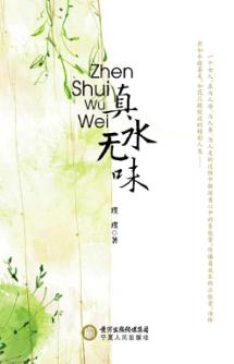 真水无味 封面