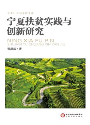 宁夏扶贫实践与创新研究 封面