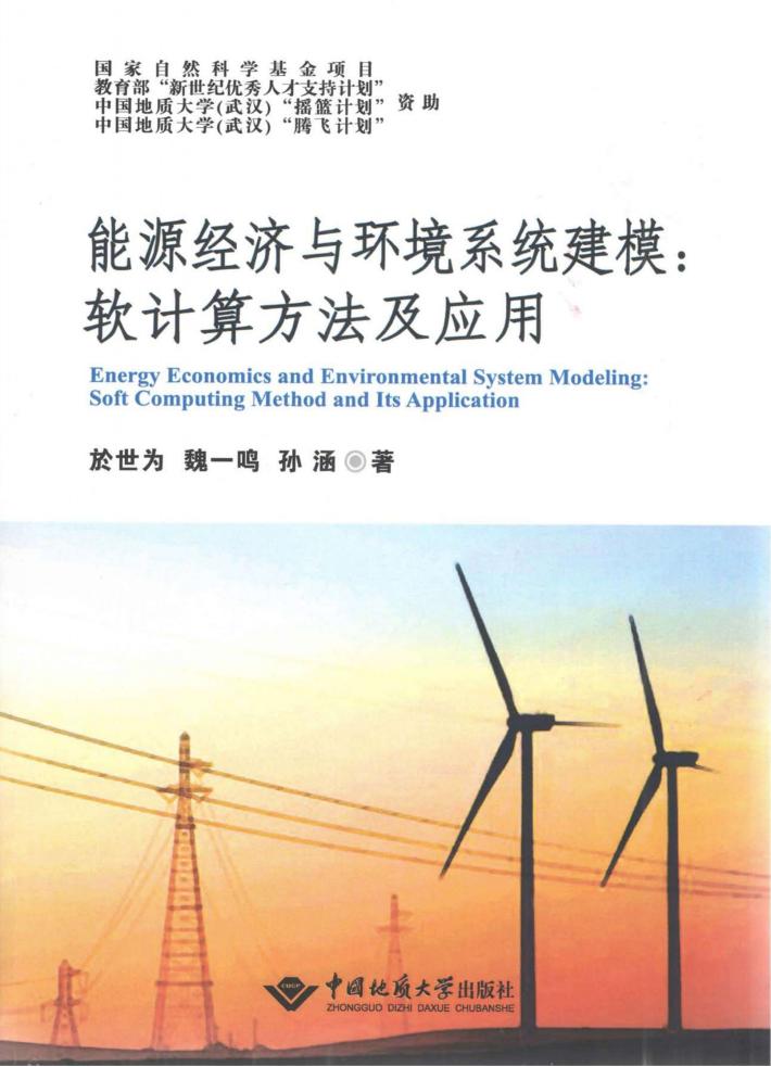 能源经济与环境系统建模  软计算方法及应用 封面