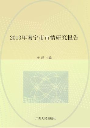 2013年南宁市市情研究报告 封面
