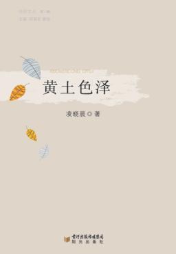 黄土色泽 封面