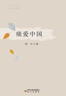 痛爱中国 封面