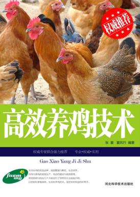 高效养鸡技术 封面