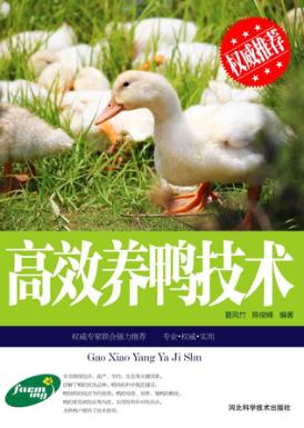 高效养鸭技术 封面