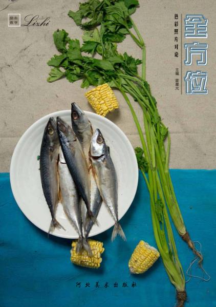 全方位色彩照片对论 封面