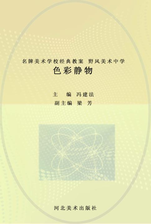 名牌美术学校经典教案  野风美术中学  色彩静物 封面