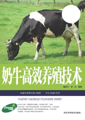 奶牛高效养殖技术 封面