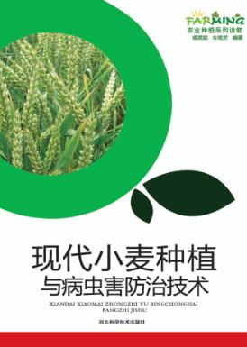 现代小麦种植与病虫害防治技术 封面
