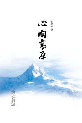 心向高原 封面
