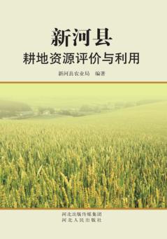 新河县耕地资源评价与利用 封面