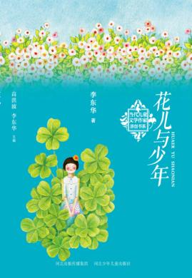 当代儿童文学作家原创书系  花儿与少年 封面