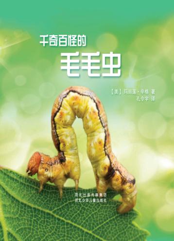 千奇百怪的毛毛虫 封面