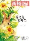 棉尾兔豁耳朵 封面