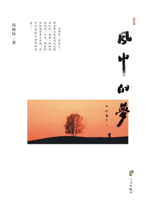 风中的梦 封面