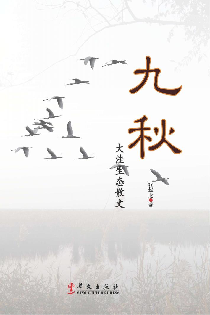 九秋  大洼生态散文 封面