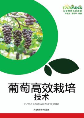 葡萄高效栽培技术 封面