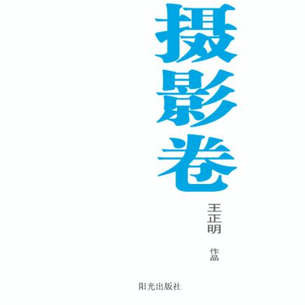 银川文学艺术精品工程  摄影卷  王正明作品 封面