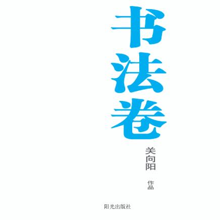 银川文学艺术精品工程  书法卷  关向阳作品 封面