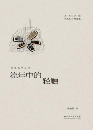 宜良文学丛书  流年中的轻触 封面