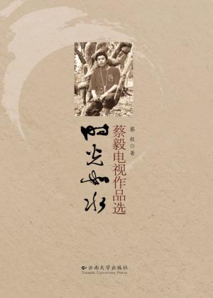 时光如水 蔡毅电视作品选 封面