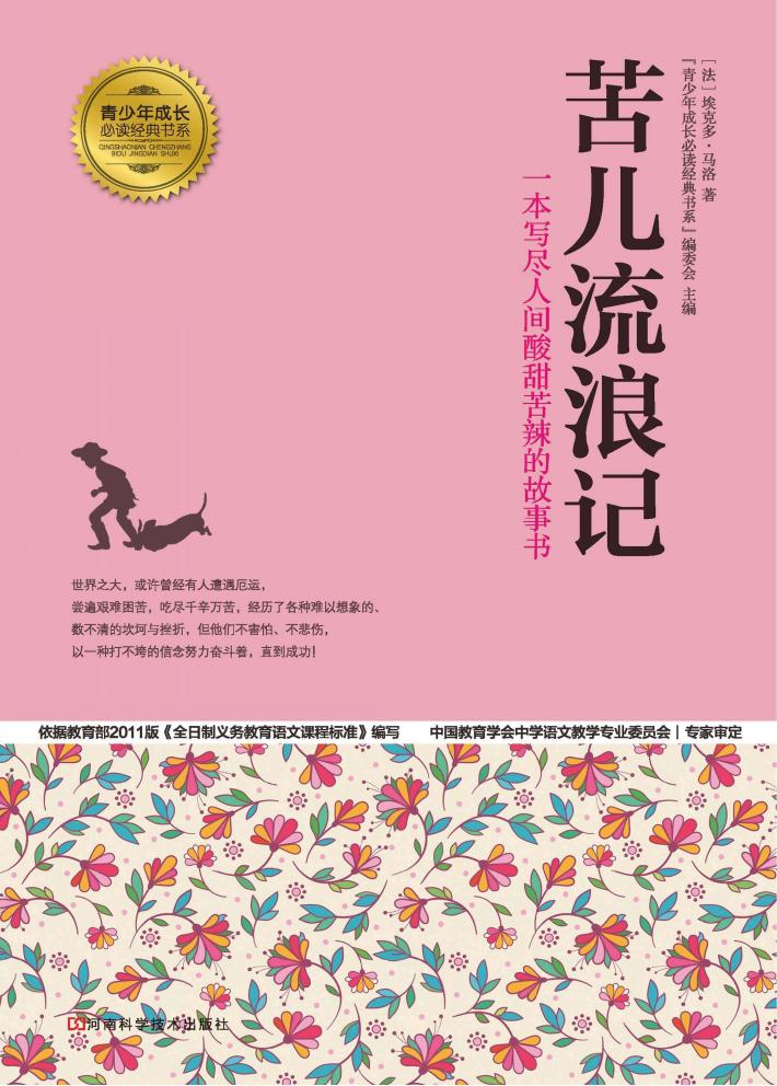 苦儿流浪记 封面