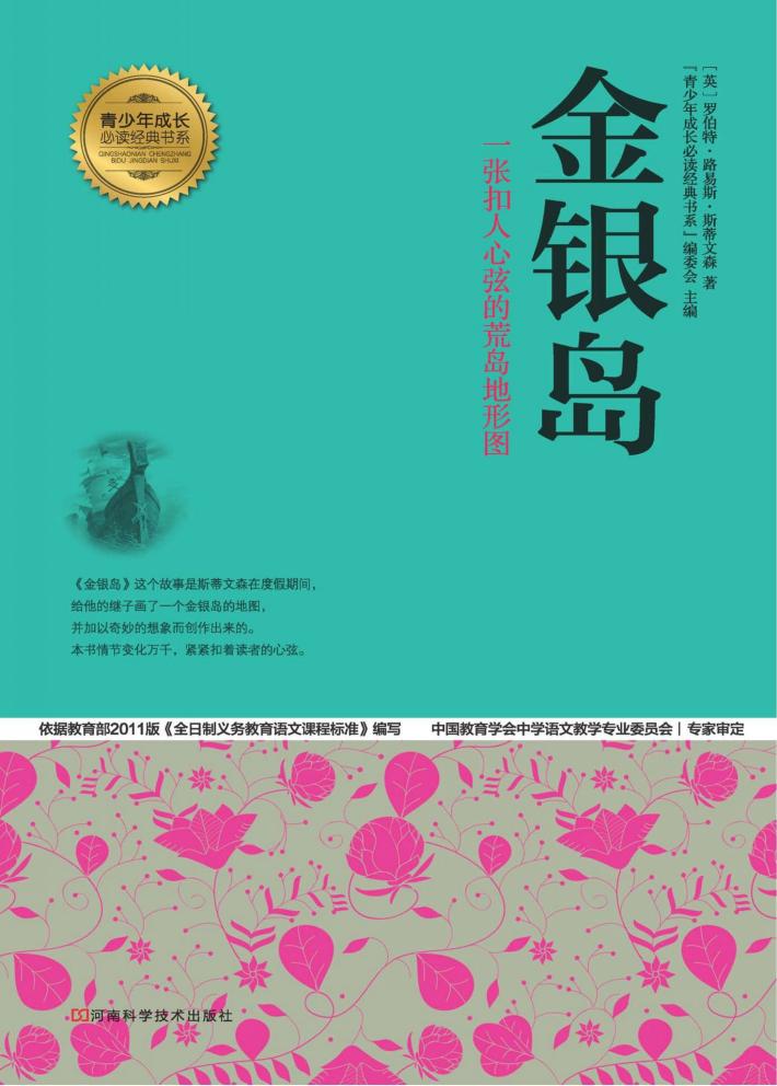 金银岛 封面