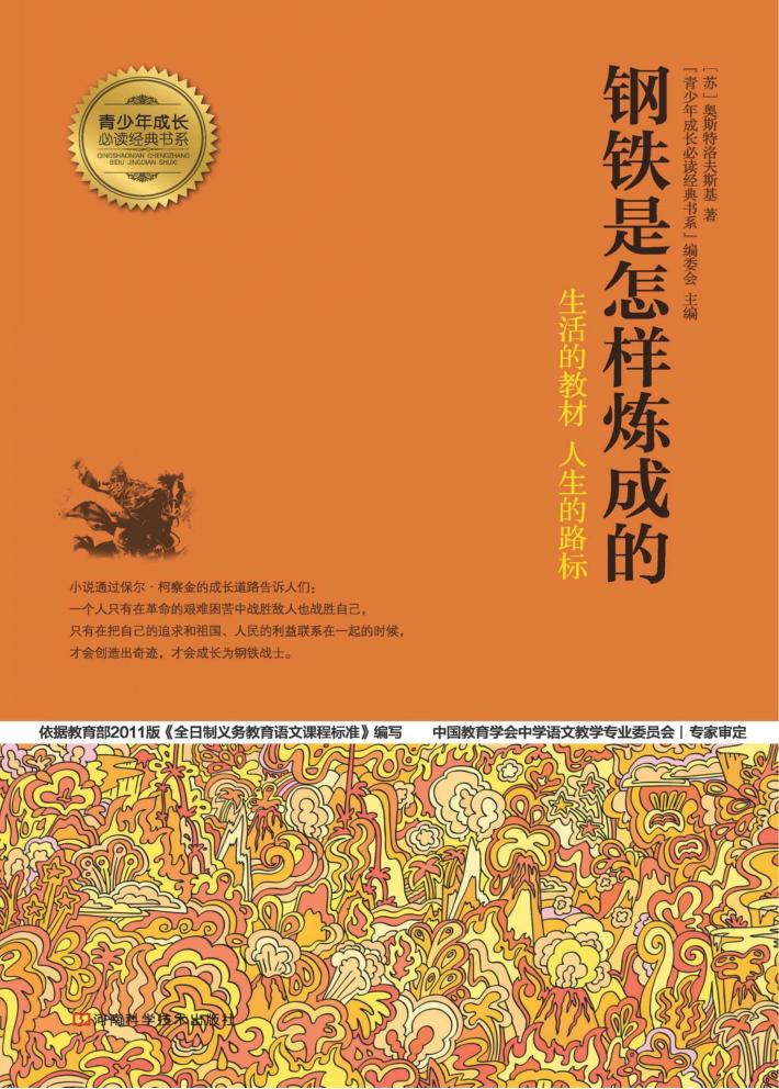 钢铁是怎样炼成的 封面