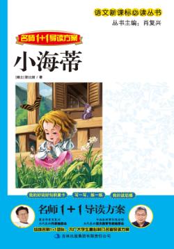 名师1+1导读方案  小海蒂 封面