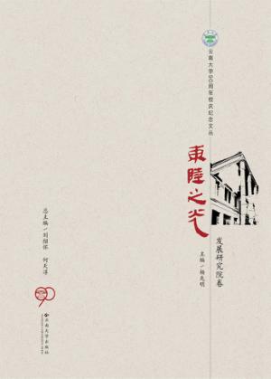 东陆之光  发展研究院卷 封面