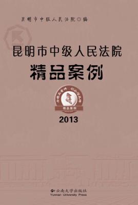 昆明市中级人民法院精品案例 2013 封面