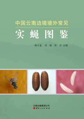 中国云南边境境外常见实蝇图鉴 封面