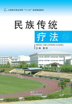 民族传统疗法 封面